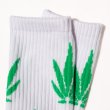 画像14: 【GANJA 2-Pair Crew Socks】 靴下 ソックス ガンジャ マリファナ クルーソックス ウエストコースト ファッション メンズ (14)