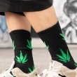 画像4: 【GANJA 2-Pair Crew Socks】 靴下 ソックス ガンジャ マリファナ クルーソックス ウエストコースト ファッション メンズ (4)