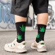 画像5: 【GANJA 2-Pair Crew Socks】 靴下 ソックス ガンジャ マリファナ クルーソックス ウエストコースト ファッション メンズ (5)