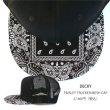 画像2: DECKY デッキー 【ペイズリー柄 メッシュキャップ】 帽子 スナップバック BANDANA PAISLEY CAP (2)