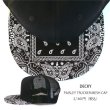 画像2: DECKY メッシュキャップ PAISLEY (2)