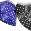 画像2: TROOPER トゥルーパー 【Bandana Paisley Bucket Hat】 ハット バケットハット バンダナ柄 ペイズリー柄 チカーノ ローライダー Bandana WESTCOAST CHICANO LOWRIDER (2)