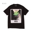 画像4: ENEMY OF THE STATE  Tシャツ 【 CANNABIS ガンジャ 】HIPHOP ヒップホップ マリファナ 大麻 大きいサイズ (4)