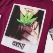 画像7: ENEMY OF THE STATE  Tシャツ 【 CANNABIS ガンジャ 】HIPHOP ヒップホップ マリファナ 大麻 大きいサイズ (7)