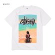 画像3: プリント Tシャツ 【 CALIFORNIA VIBES 】 ヘビーウェイト  LA 西海岸 カリフォルニア ロサンゼルス ローライダー チカーノ (3)