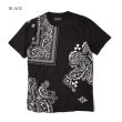 画像2: REASON  Tシャツ 【 ペイズリー / Block 】  半袖  バンダナ (2)