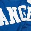 画像17: PRO STANDARD プロ・スタンダード 【ウイング プルオーバー フーディー LA ドジャース】 スウェット パーカー ロサンゼルス DODGERS (17)