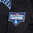 画像10: PRO STANDARD プロ・スタンダード 【スリーブロゴ プルオーバー フーディー LA ドジャース】 スウェット パーカー ロサンゼルス DODGERS (10)