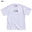 画像5: PRO CLUB プロクラブ 半袖 Tシャツ 【ボックスロゴ BOX LOGO】 6.5オンス ヘビーウェイト PROCLUB (5)